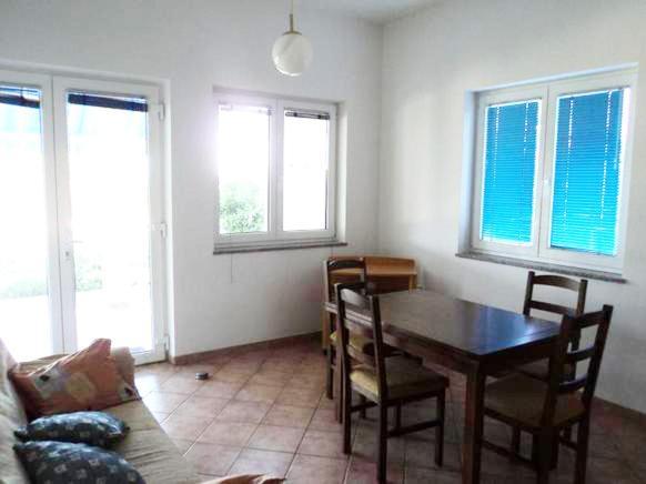 Apartments Delfini Sveti Filip i Jakov Εξωτερικό φωτογραφία
