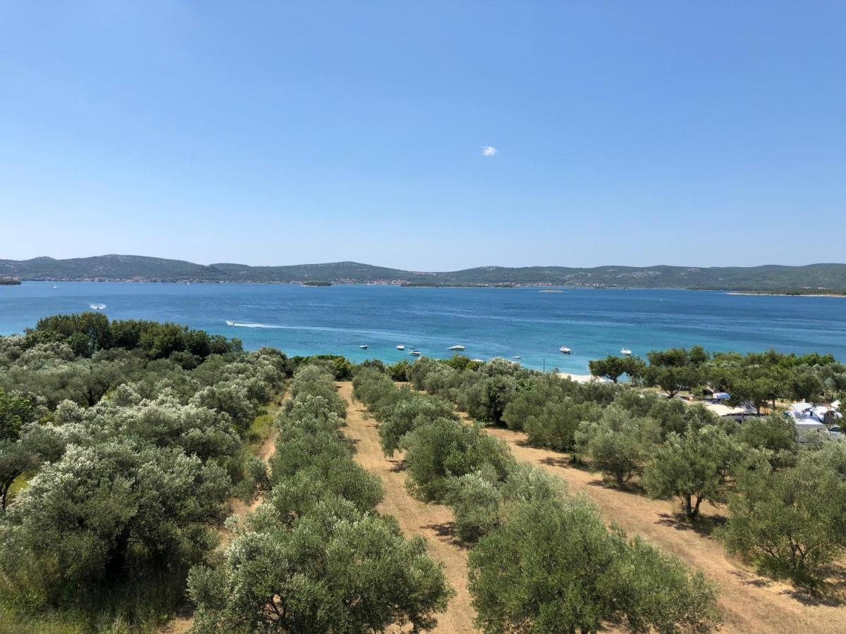 Apartments Delfini Sveti Filip i Jakov Εξωτερικό φωτογραφία